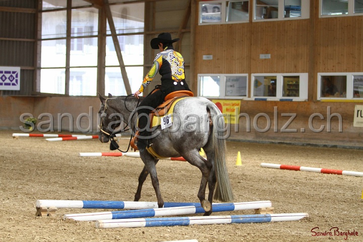 26-ApHC GT_217.jpg